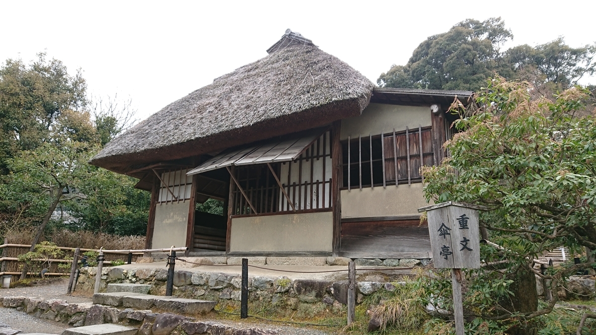 f:id:toto-chan:20200216224016j:plain f:id:toto-chan:20200216224016j:plain