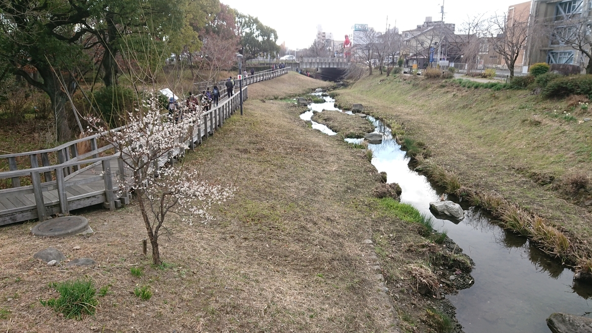 f:id:toto-chan:20200217181932j:plain f:id:toto-chan:20200217181932j:plain