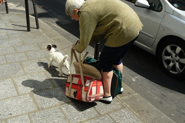 f:id:toto-diary:20220227210604p:plain
