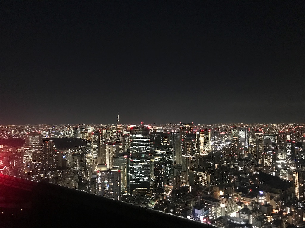 f:id:totoblog-com:20190206232832j:image