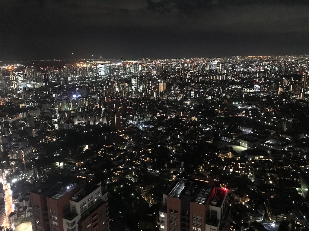 f:id:totoblog-com:20190206233043j:image