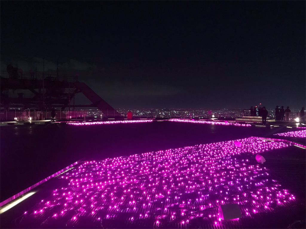 f:id:totoblog-com:20190206233135j:image