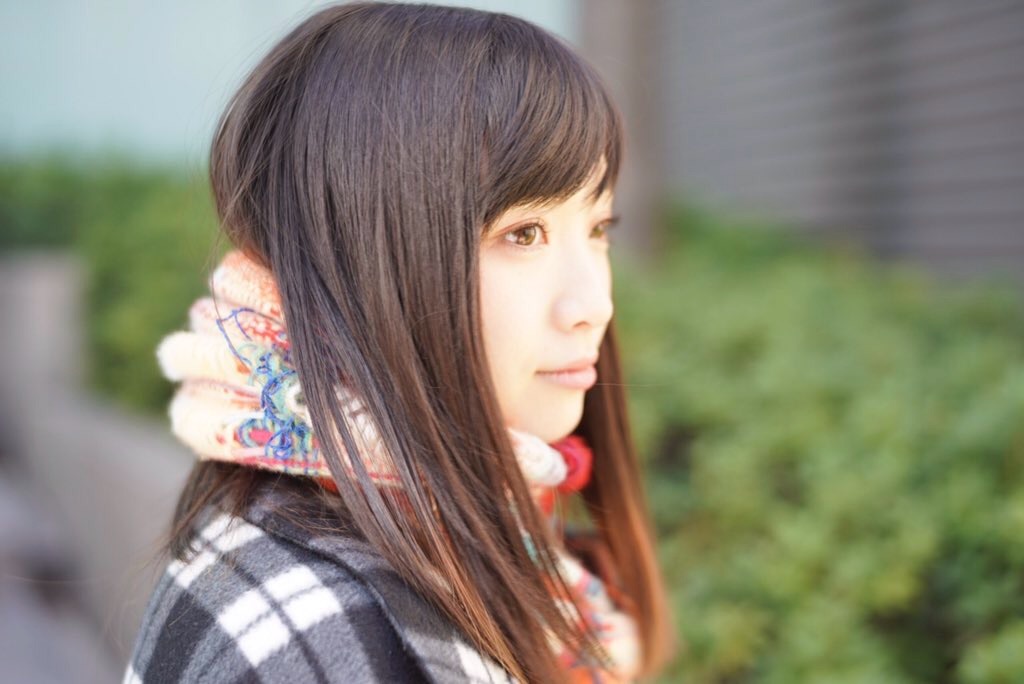 f:id:totoblog-com:20190207123611j:image