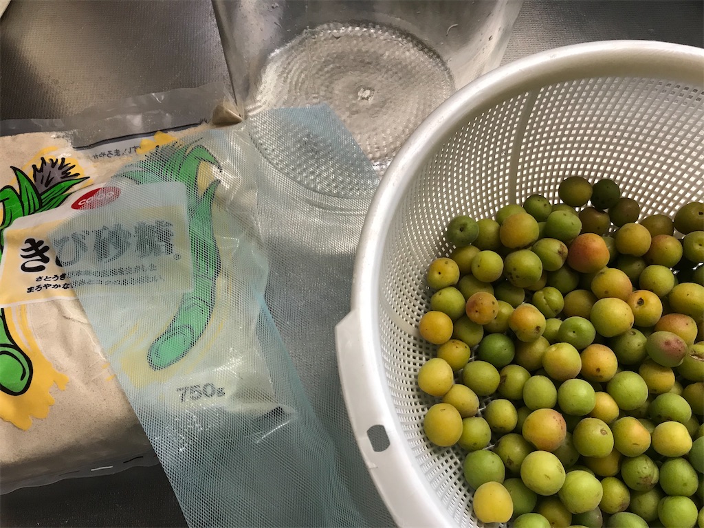 f:id:totochn:20200529132323j:image f:id:totochn:20200529132323j:image