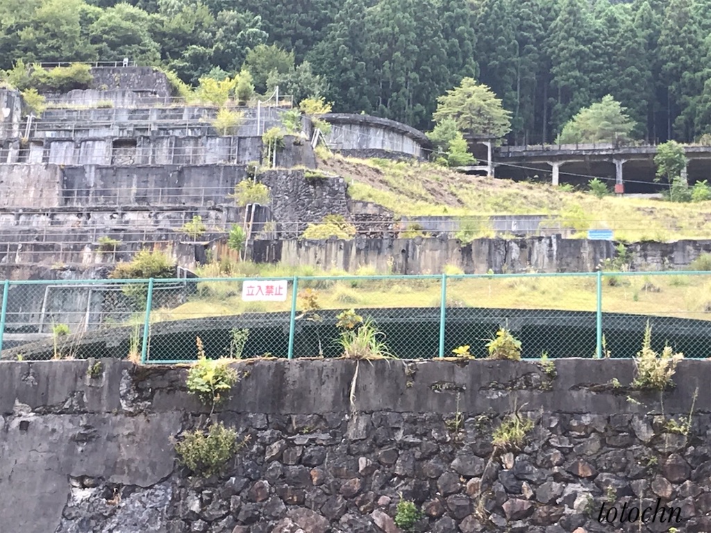 f:id:totochn:20200921080544j:plain