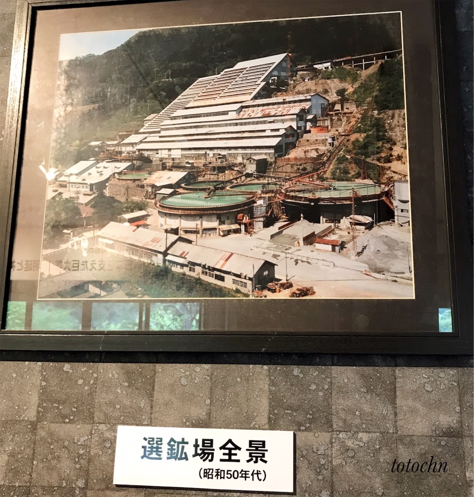 f:id:totochn:20200921123114j:plain