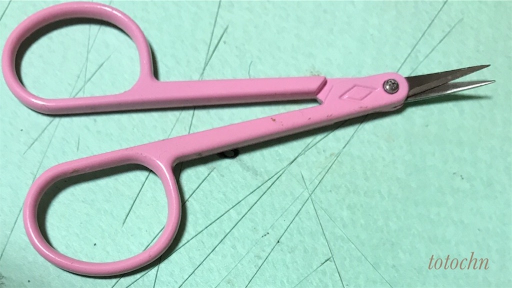 f:id:totochn:20200923194230j:plain f:id:totochn:20200923194230j:plain