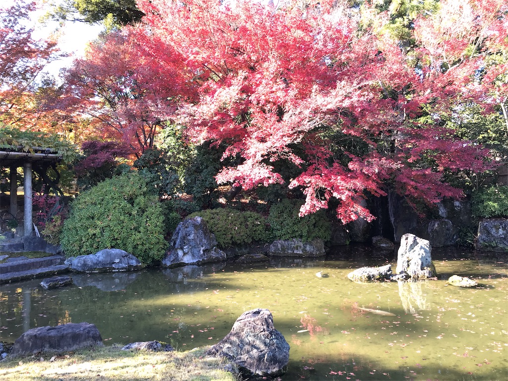 f:id:totochn:20201204174941j:plain