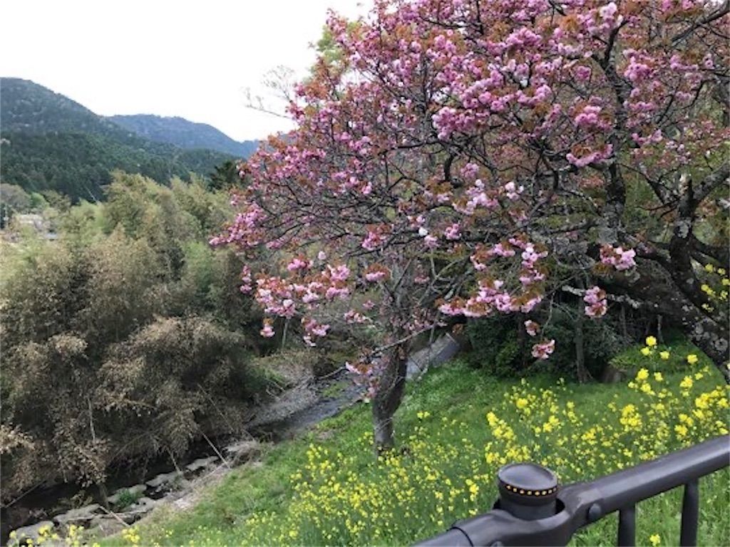 京都大原里山風景