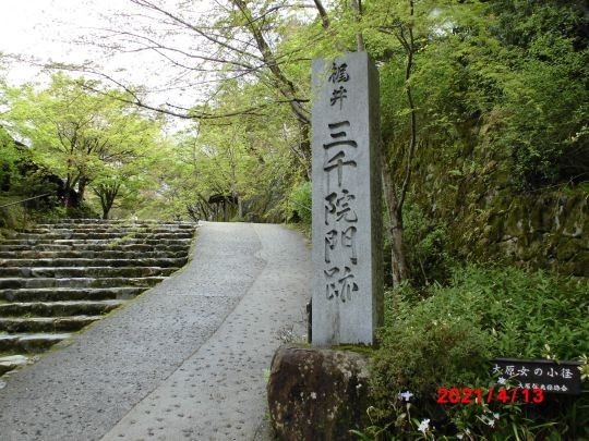 三千院参道