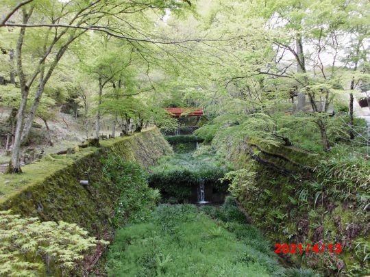 猫地蔵横の川