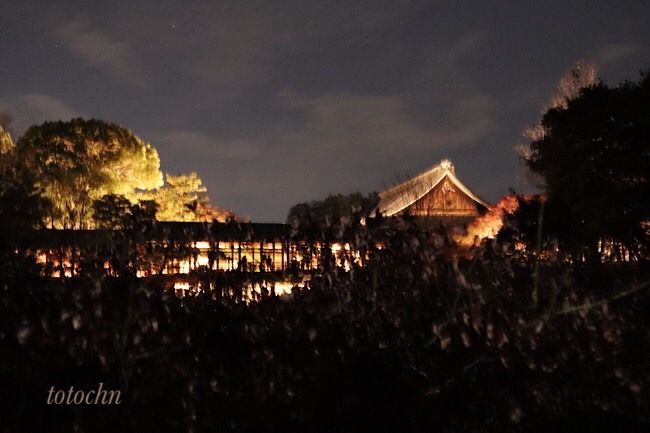 東福寺臥雲橋から
