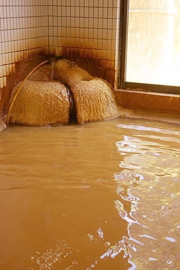 花山温泉　薬師の湯