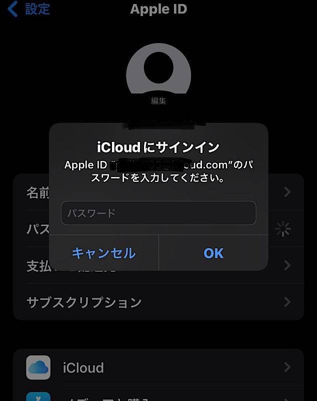 Apple IDのパスワード設定表示