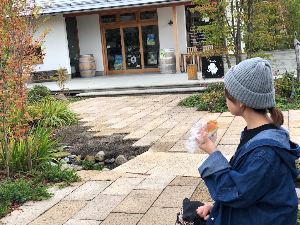 f:id:totodayo:20181008220551j:image
