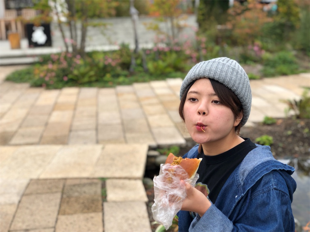 f:id:totodayo:20181008224625j:image