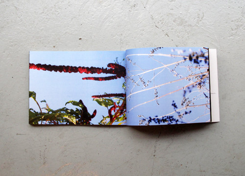 f:id:totodo_books:20120409171749j:image