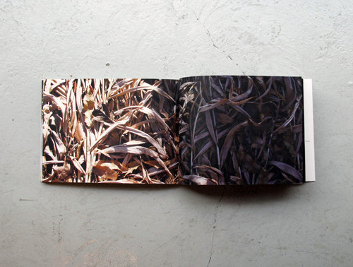 f:id:totodo_books:20120409173145j:image