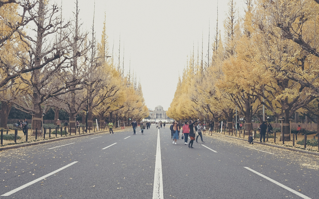 f:id:totoge:20171207134620j:plain f:id:totoge:20171207134620j:plain