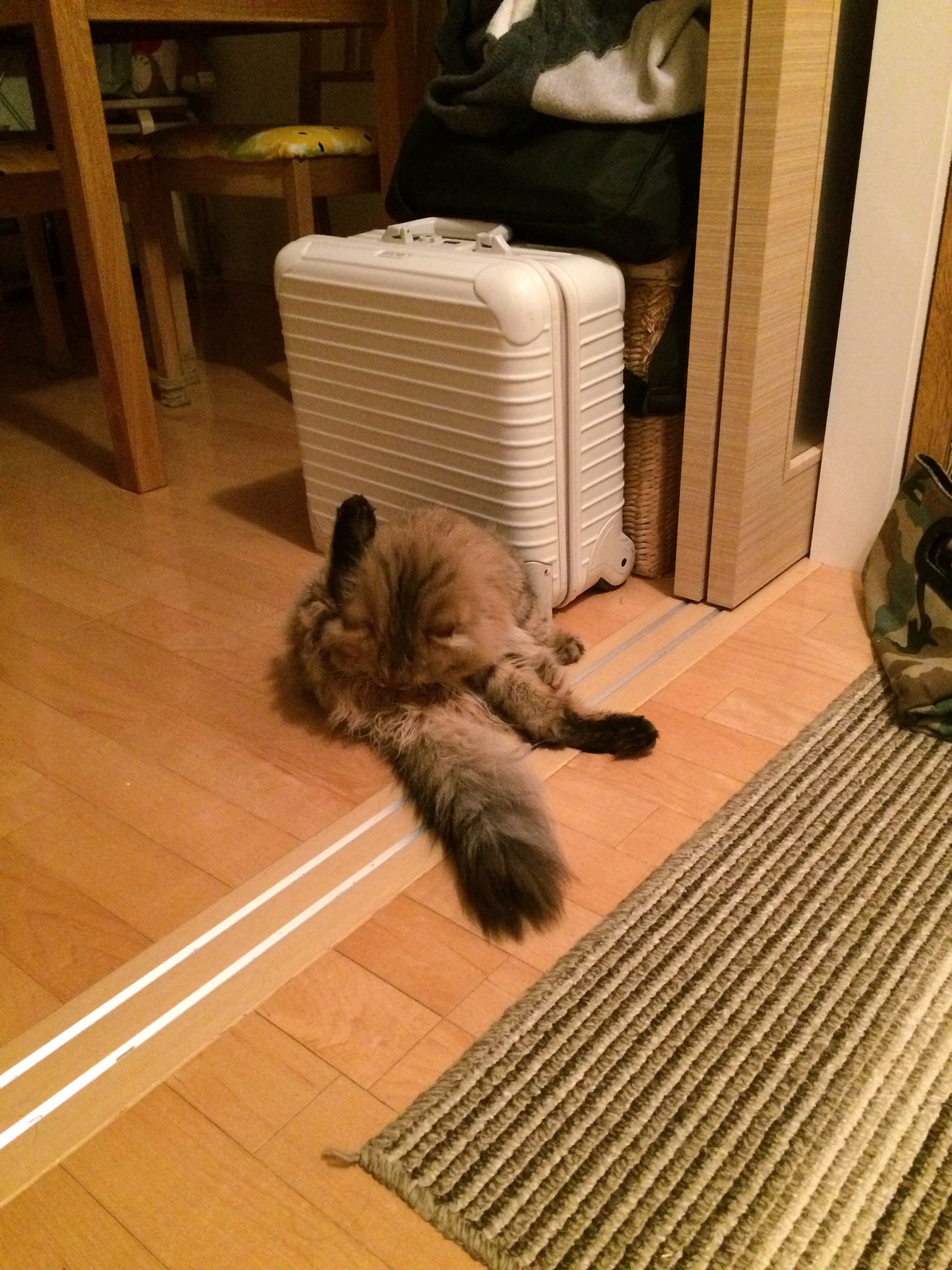 f:id:totolulu22vv:20190518090159j:image