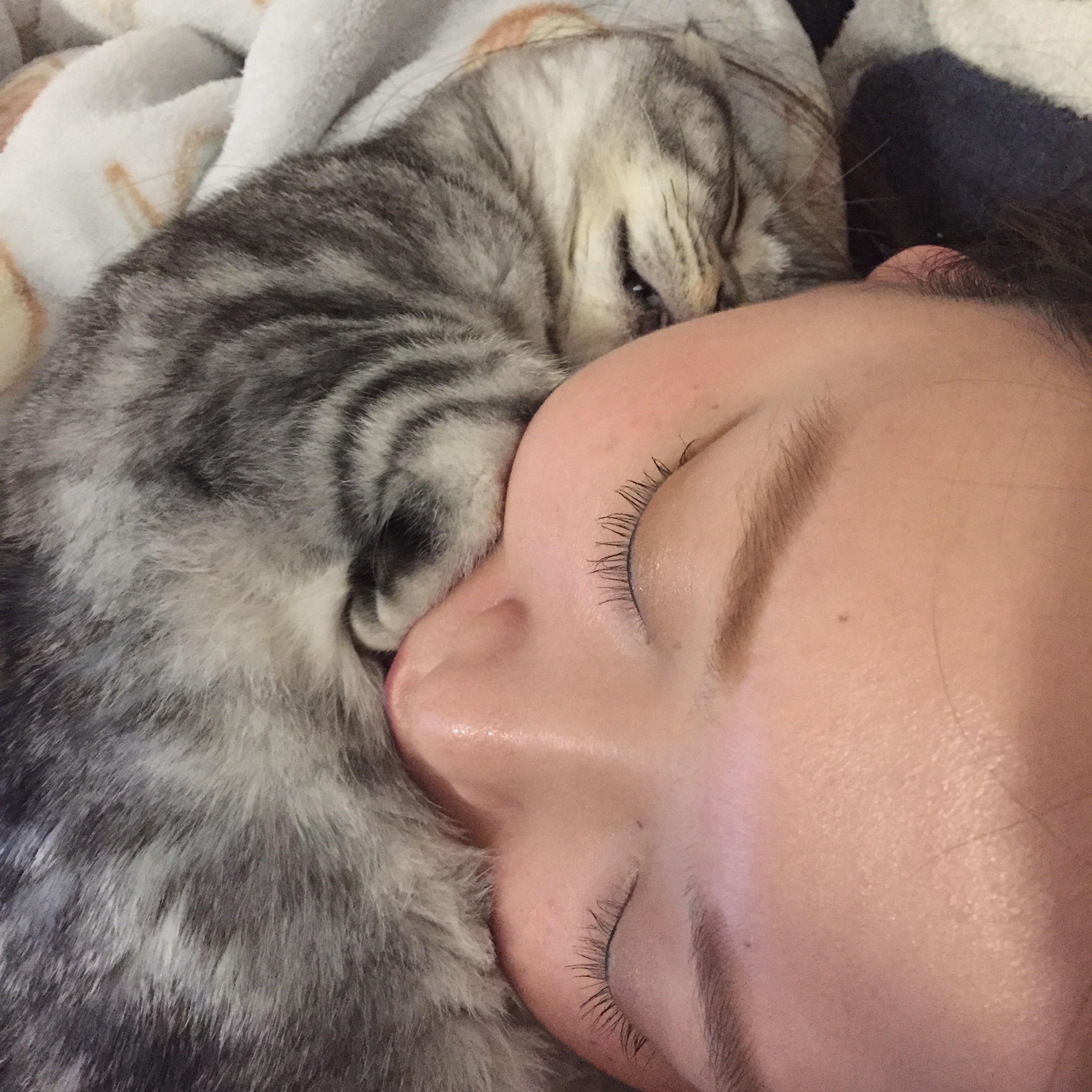 f:id:totolulu22vv:20190607173329j:image