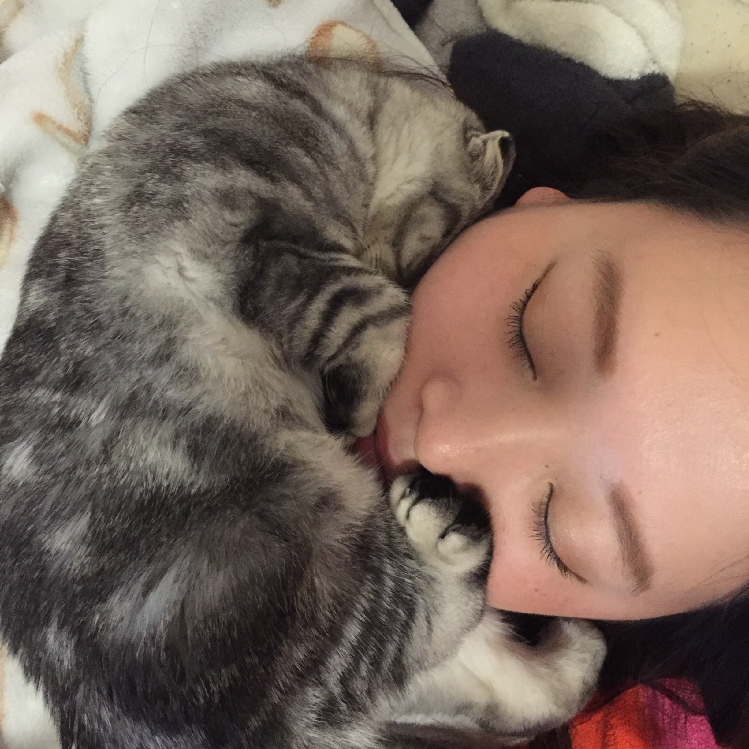 f:id:totolulu22vv:20190607173336j:image