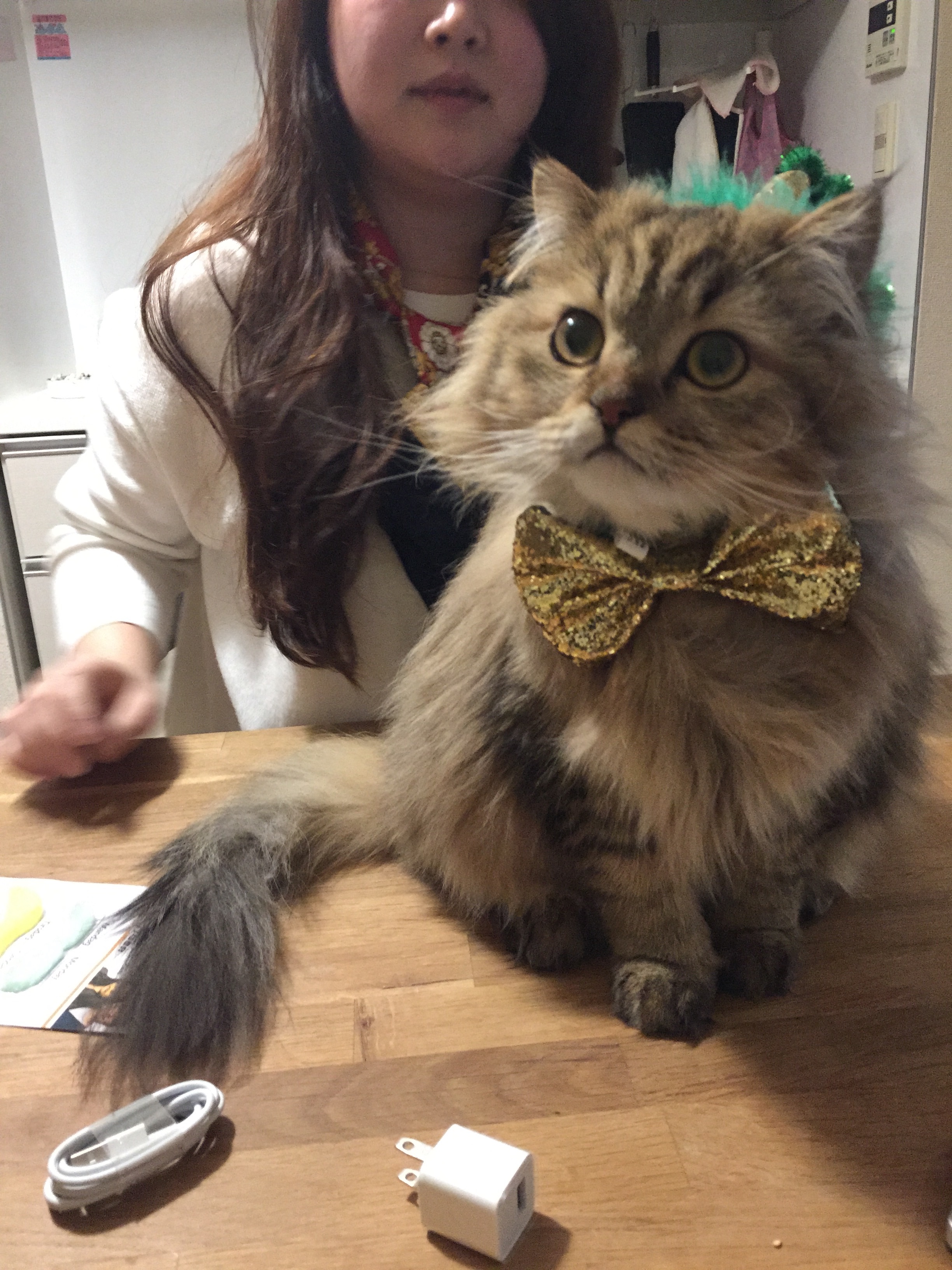 f:id:totolulu22vv:20190607173904j:image