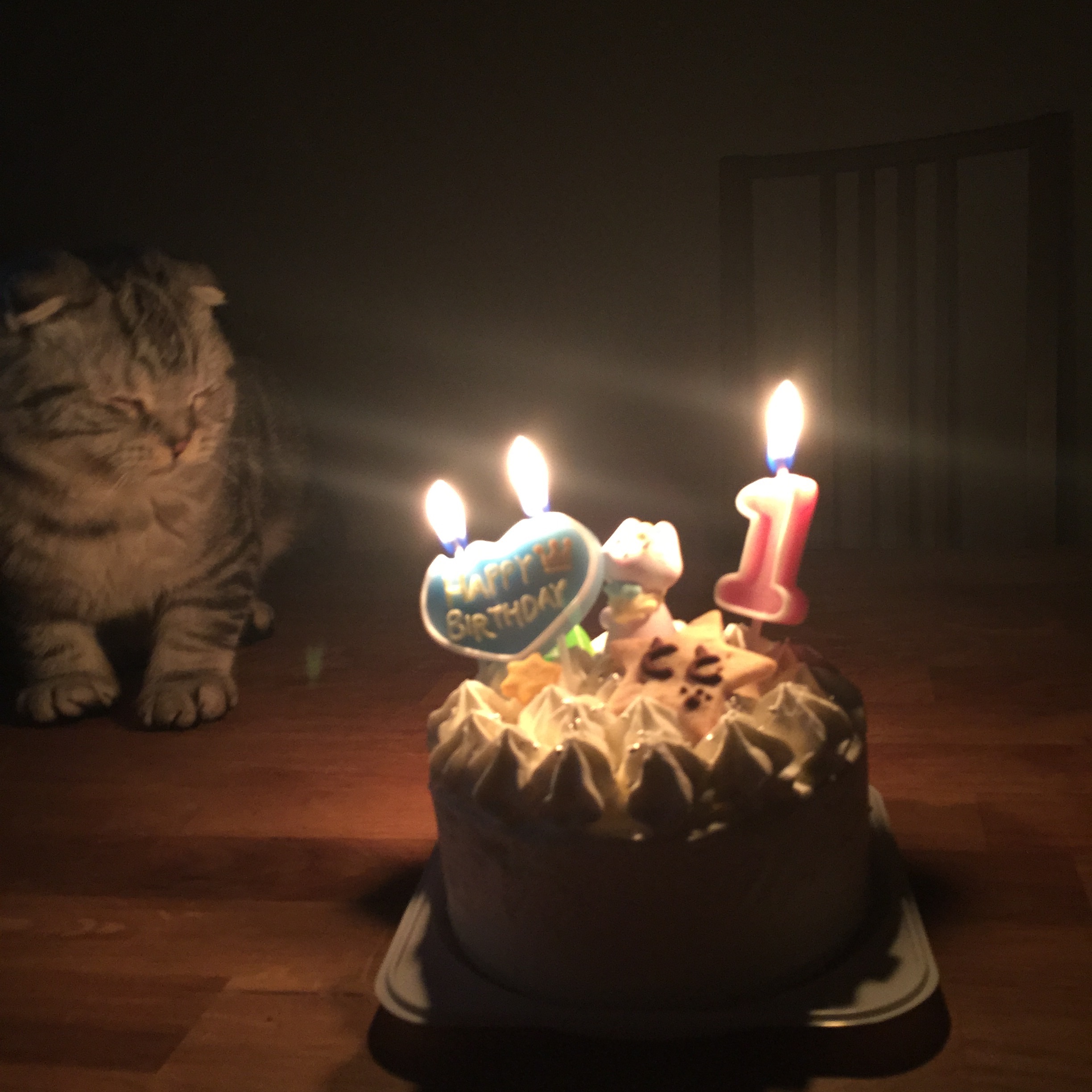 f:id:totolulu22vv:20190607173925j:image