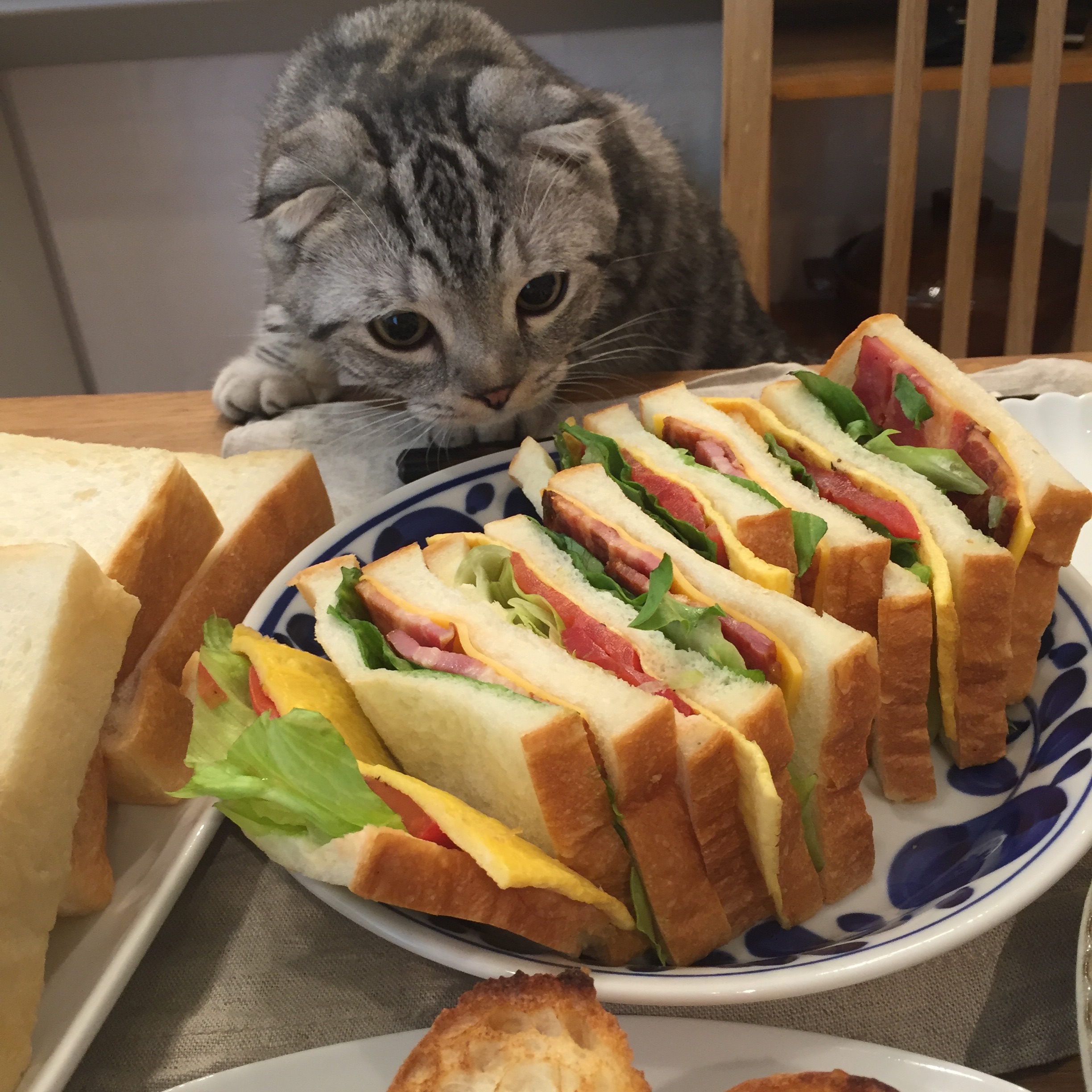 f:id:totolulu22vv:20190620090603j:image