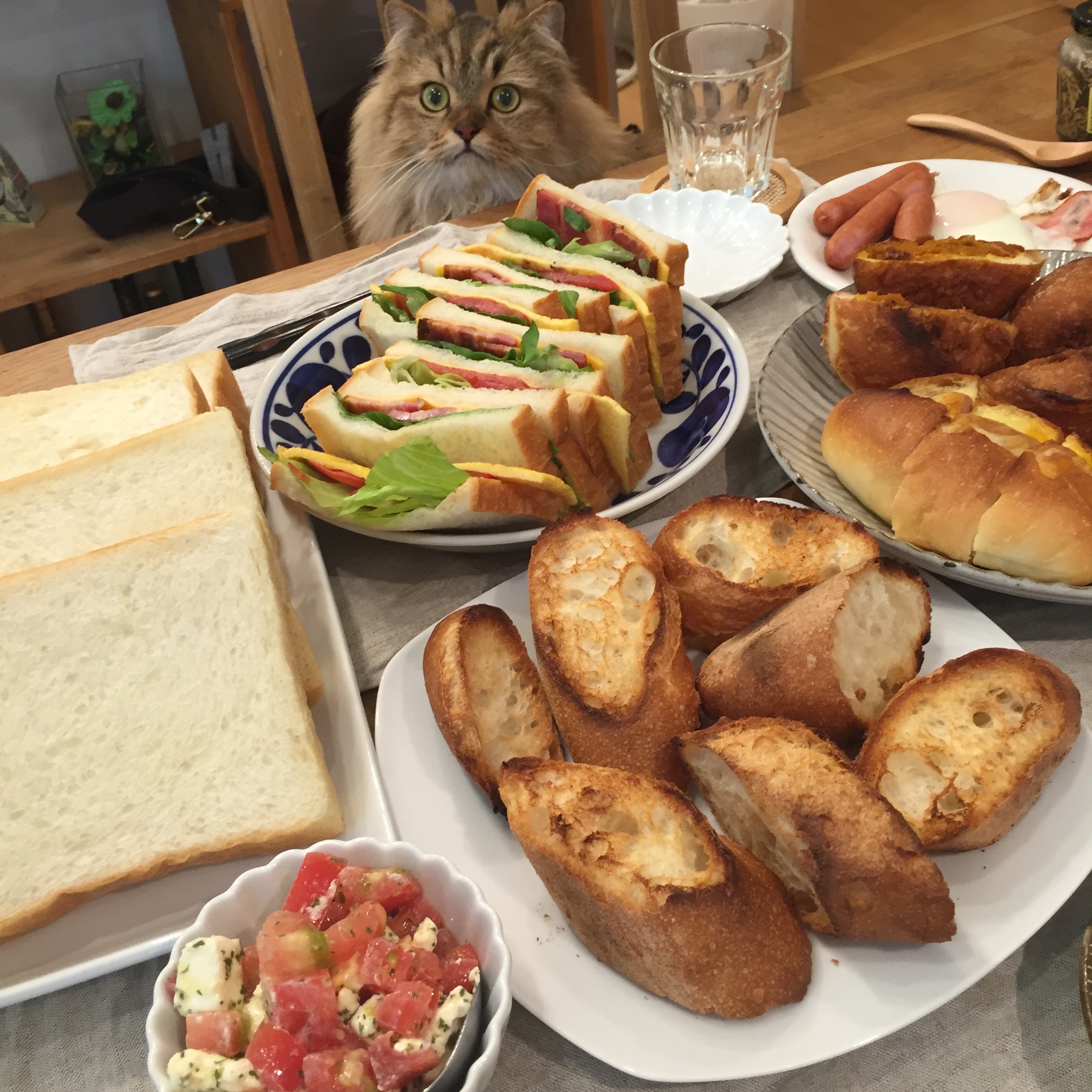 f:id:totolulu22vv:20190620090654j:image