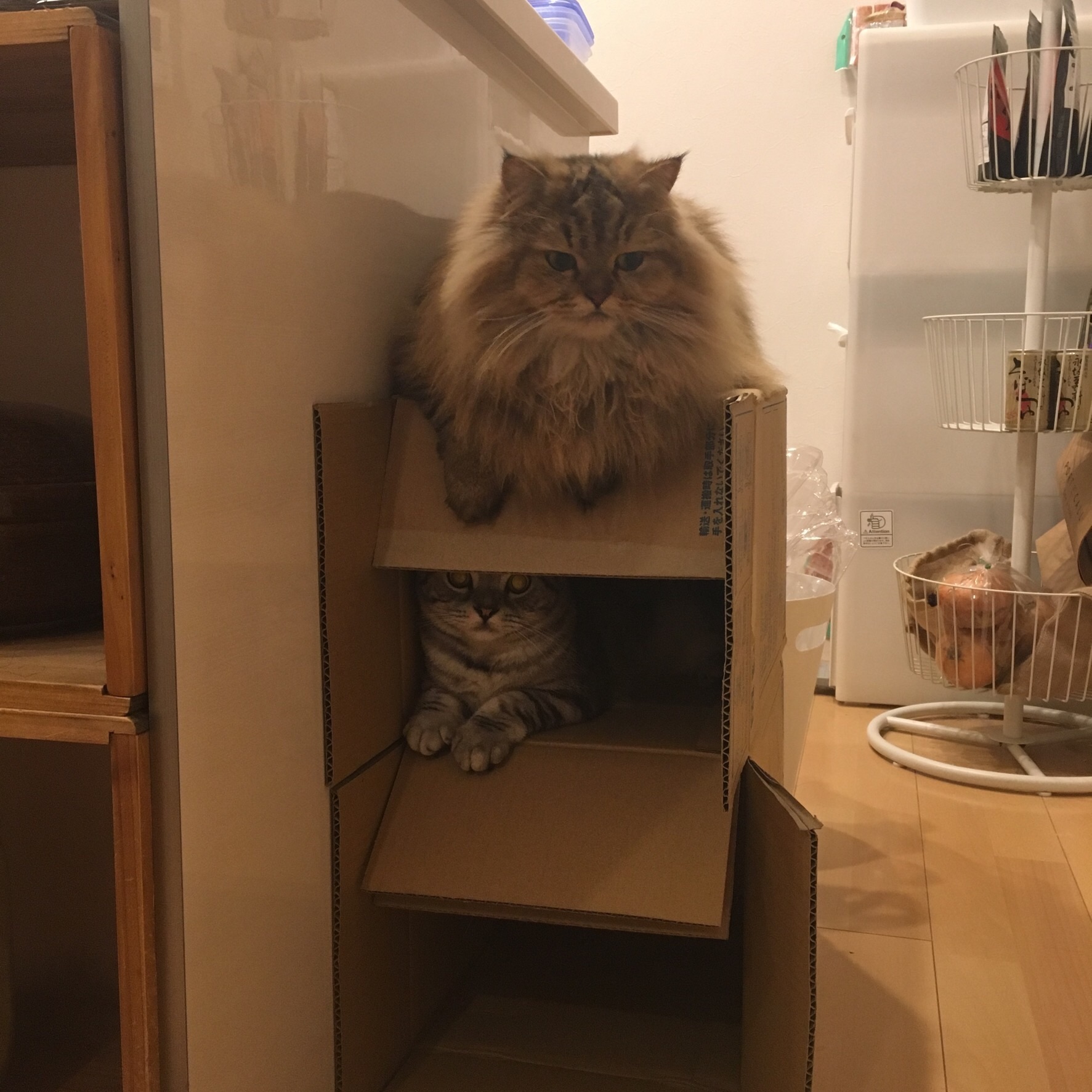 f:id:totolulu22vv:20190620092135j:image