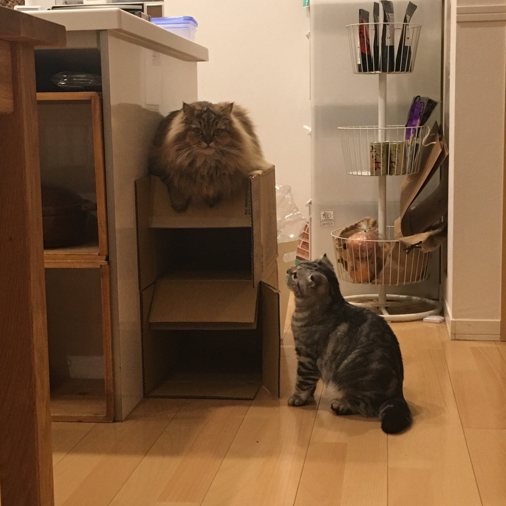 f:id:totolulu22vv:20190620092146j:image