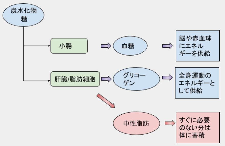 f:id:totomarun:20190522221305p:plain f:id:totomarun:20190522221305p:plain