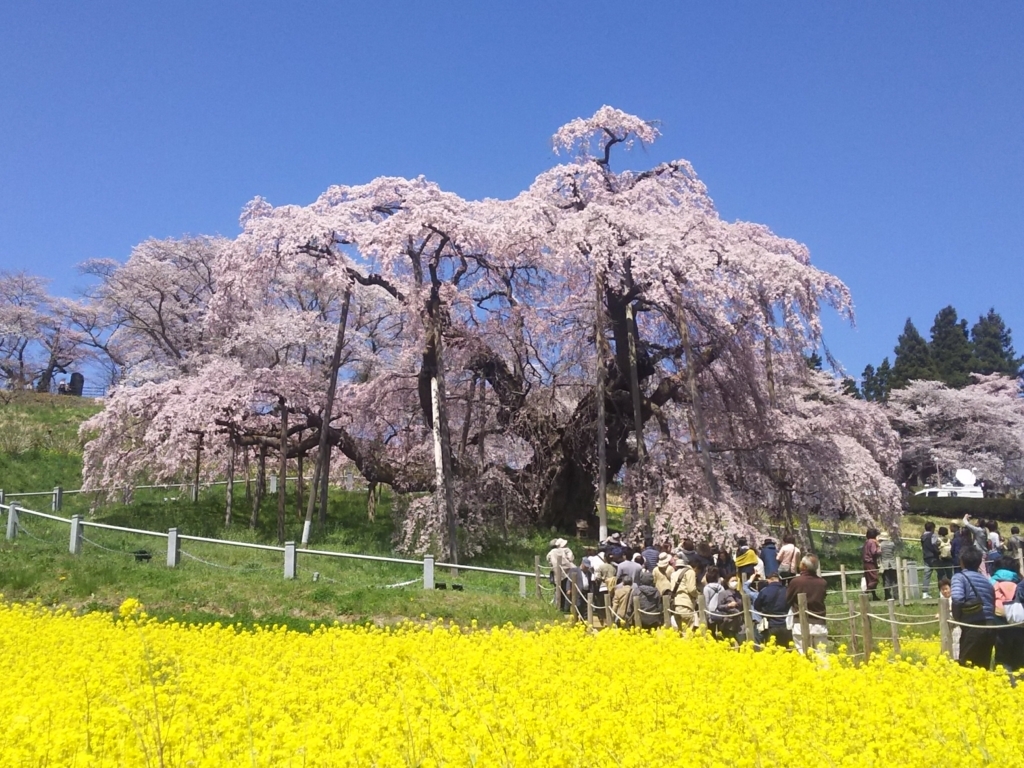 f:id:totomay:20180730151226j:plain f:id:totomay:20180730151226j:plain