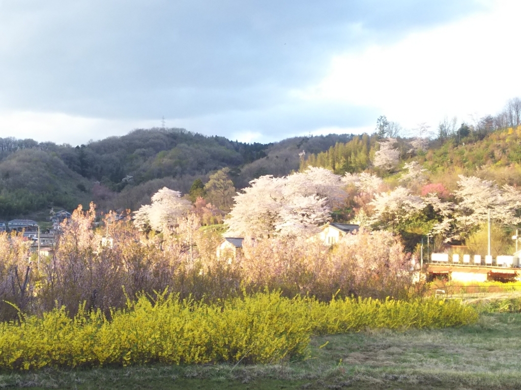 f:id:totomay:20180730151348j:plain f:id:totomay:20180730151348j:plain