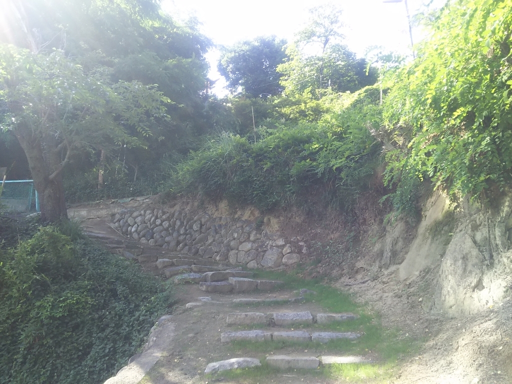 f:id:totomay:20190214152051j:plain f:id:totomay:20190214152051j:plain