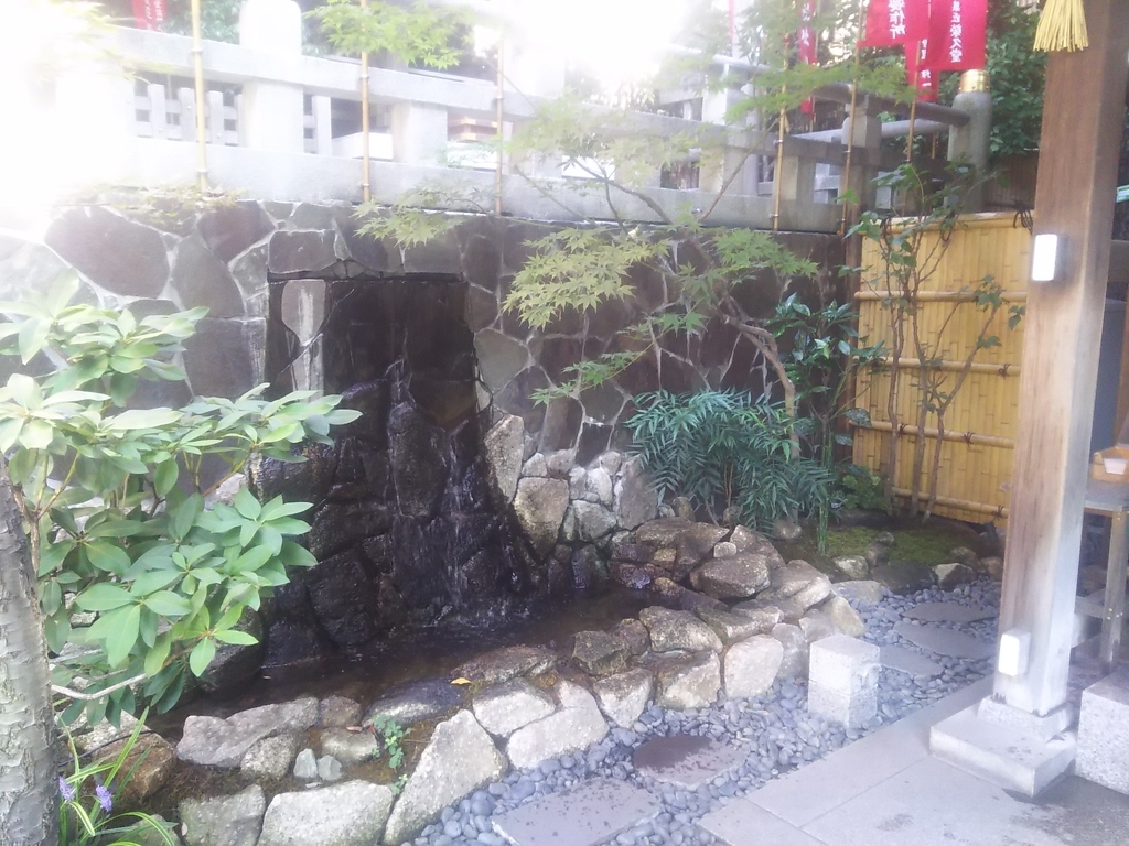 f:id:totomay:20190214153201j:plain f:id:totomay:20190214153201j:plain