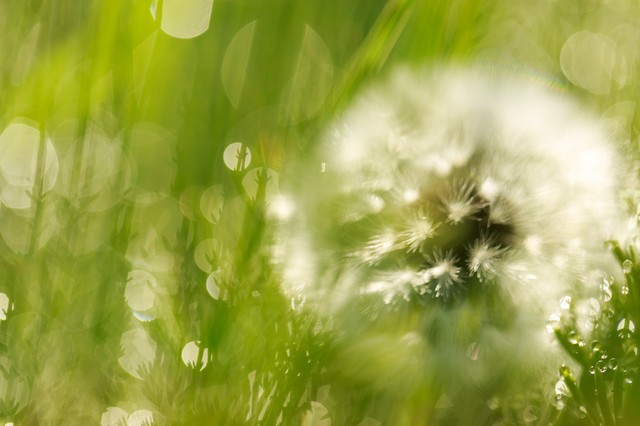 f:id:totorise:20190309093503j:plain f:id:totorise:20190309093503j:plain