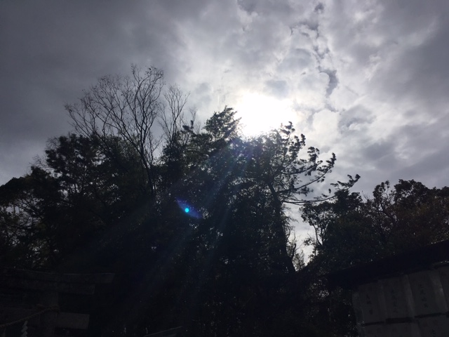 f:id:totorise:20190312143944j:plain f:id:totorise:20190312143944j:plain