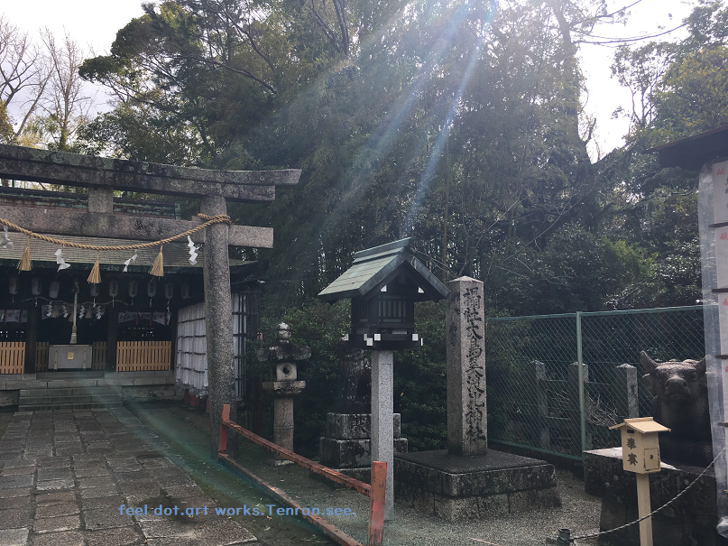 f:id:totorise:20190312144135p:plain f:id:totorise:20190312144135p:plain
