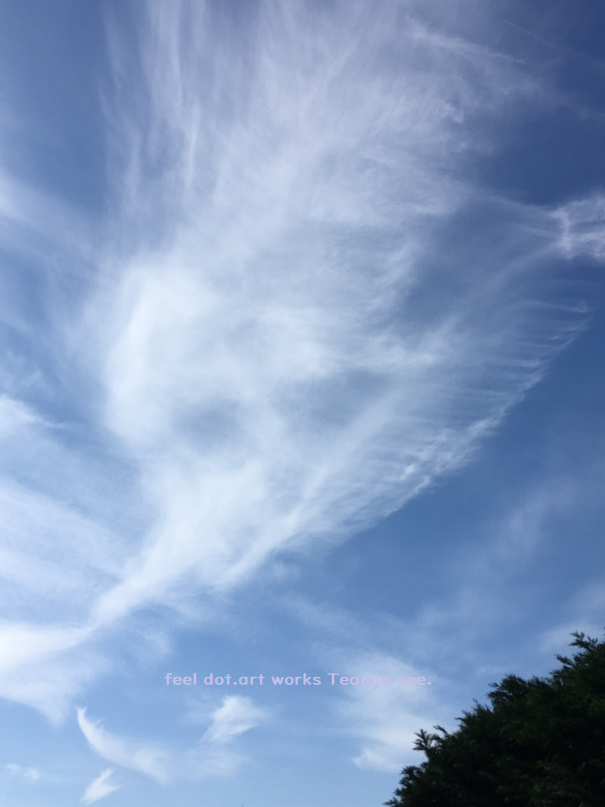 f:id:totorise:20190312145716p:plain f:id:totorise:20190312145716p:plain