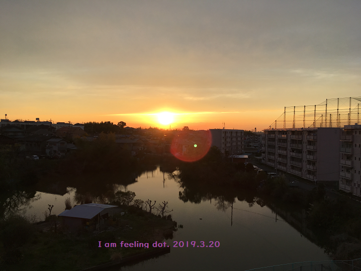 f:id:totorise:20190320132507p:plain f:id:totorise:20190320132507p:plain