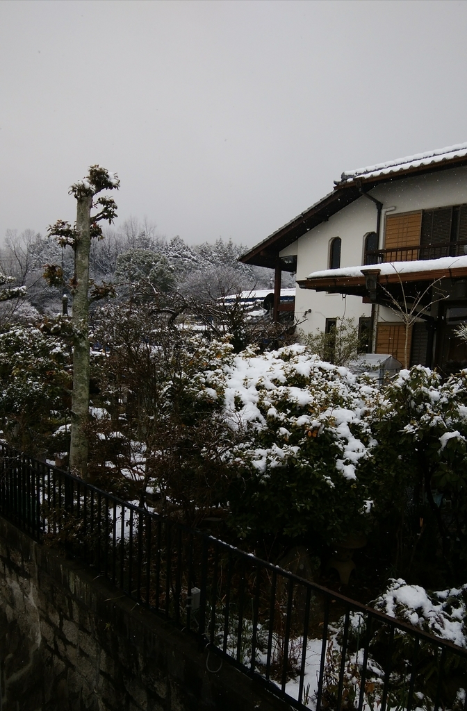 f:id:totorontantan:20190126145904j:plain