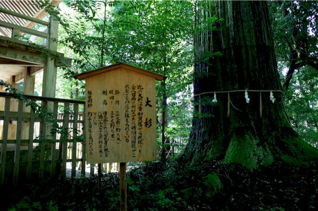 f:id:totorotabi:20170107085028j:image f:id:totorotabi:20170107085028j:image