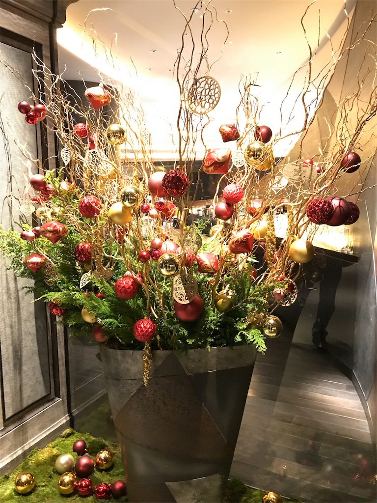 f:id:totorotabi:20181229133412j:image f:id:totorotabi:20181229133412j:image