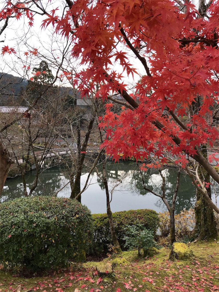 f:id:totorotabi:20181229134827j:image f:id:totorotabi:20181229134827j:image