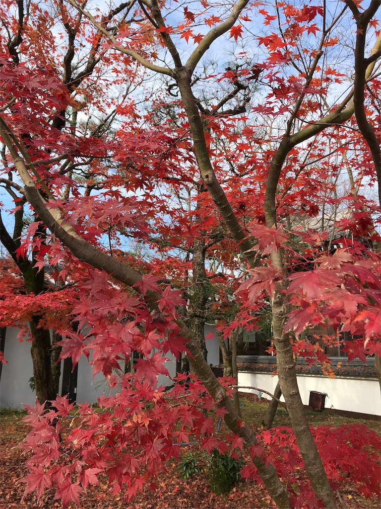 f:id:totorotabi:20181229134846j:image f:id:totorotabi:20181229134846j:image