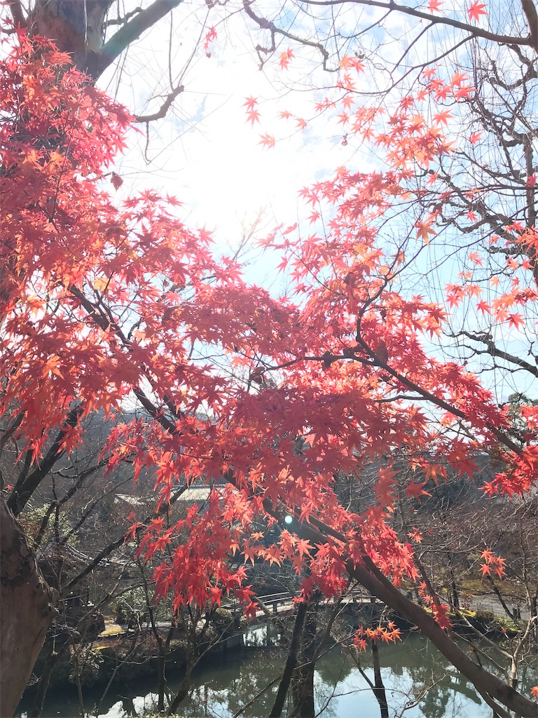 f:id:totorotabi:20181229134850j:image f:id:totorotabi:20181229134850j:image