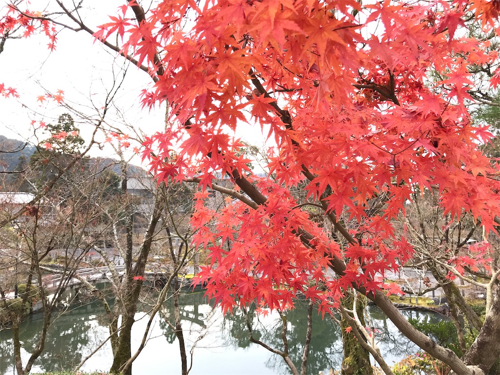 f:id:totorotabi:20181229134900j:image f:id:totorotabi:20181229134900j:image