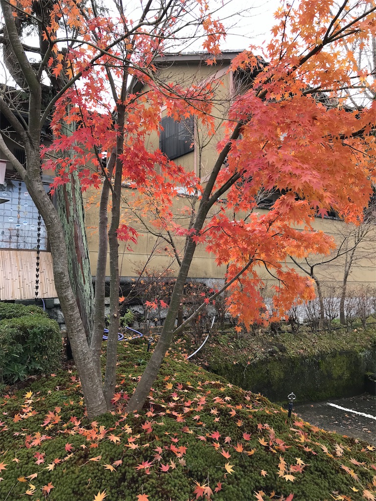 f:id:totorotabi:20181229134910j:image f:id:totorotabi:20181229134910j:image